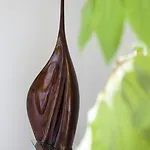 Am Braunen Hirsch 호텔